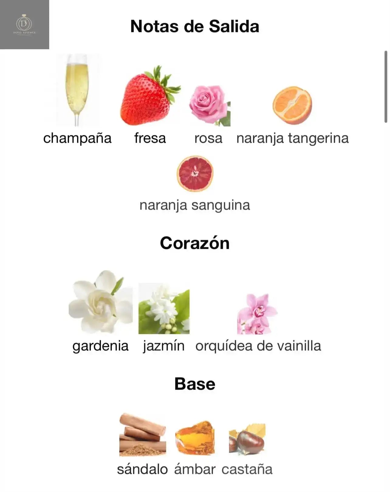 Perfume Beech Lattafa