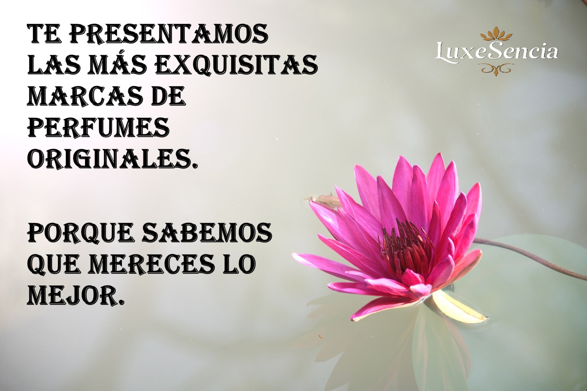 Perfumes árabes originales baratos