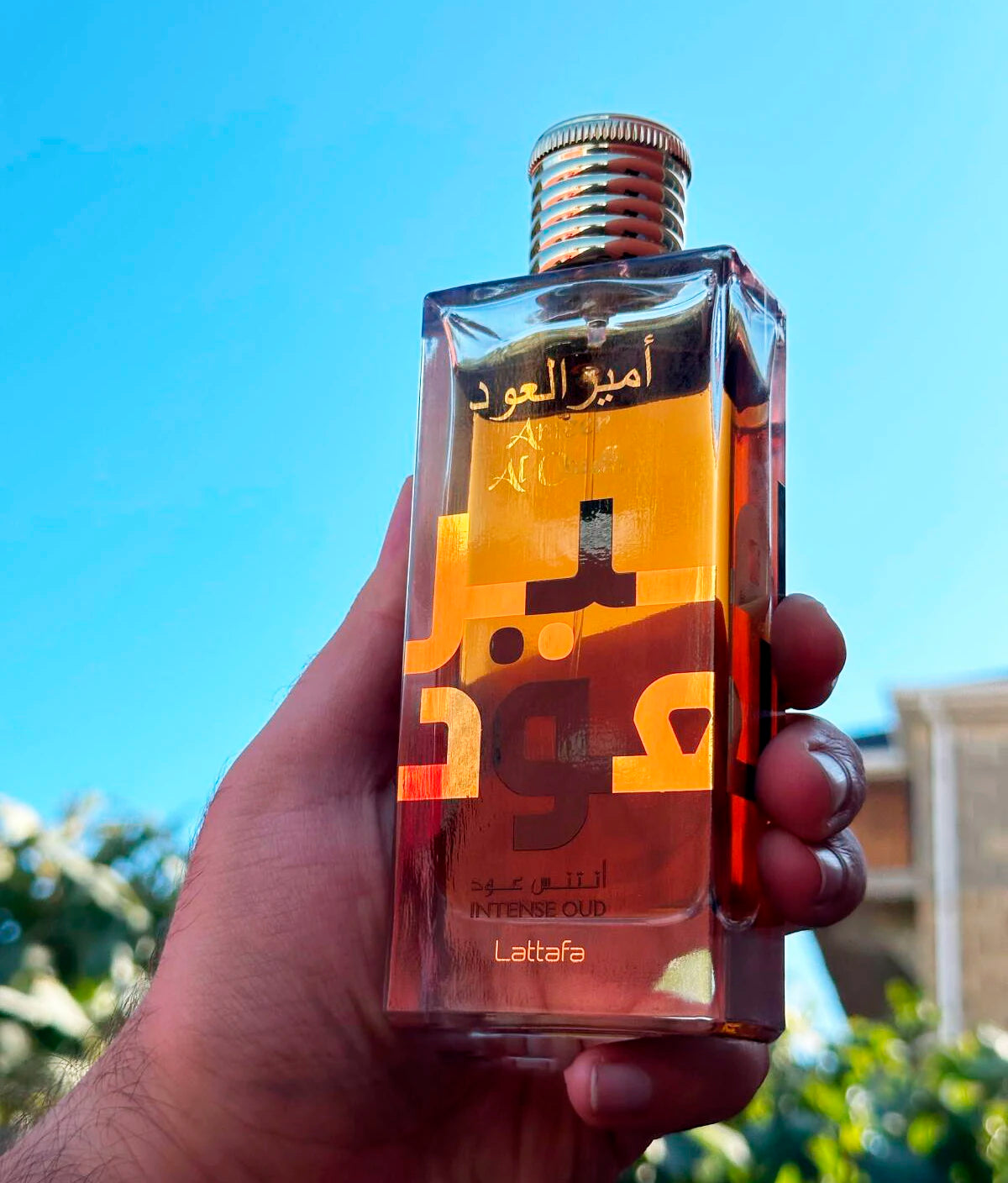 Perfume Árabe Lattafa Ameer Al Oud Intense 100ml Unisex – Eau de Parfum con Notas de Oud, Especias y Flores Orientales